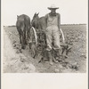 Ex-tenant farmer, now a day laborer on large cotton farm near Corsicana, Texas