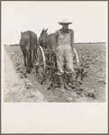 Ex-tenant farmer, now a day laborer on large cotton farm near Corsicana, Texas