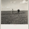 Harrowing. West Texas