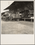 Tomato packing shed for packing and shipment north. Hazlehurst, Mississippi