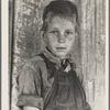 Twelve year old son of a cotton sharecropper near Cleveland, Mississippi