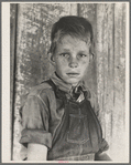 Twelve year old son of a cotton sharecropper near Cleveland, Mississippi