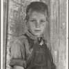 Twelve year old son of a cotton sharecropper near Cleveland, Mississippi