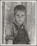 Twelve year old son of a cotton sharecropper near Cleveland, Mississippi