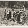 Hillhouse, Mississippi Delta cooperative farm