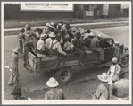 Memphis, Tennessee. Cotton hoers are transported to the fields daily during the season. Truck drivers are paid by the planters and serve as "runners" to recruit the men. Trucks leave at five o'clock in the morning for the Arkansas Delta plantations