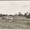 Lumber mill in the piney woods, showing dry stacking. Texas