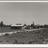Approach to the Delta cooperative farm from highway, cooperative store in foreground. Hillhouse, Mississippi