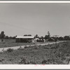 Approach to the Delta cooperative farm from highway, cooperative store in foreground. Hillhouse, Mississippi