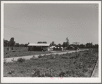 Approach to the Delta cooperative farm from highway, cooperative store in foreground. Hillhouse, Mississippi