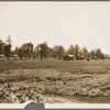 Delta cooperative farms. Hillhouse, Mississippi. Negro cabins are on one side, white cabins on the other