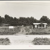 The poultry unit of the Delta cooperative farm. Hillhouse, Mississippi