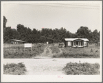 The poultry unit of the Delta cooperative farm. Hillhouse, Mississippi