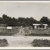 The poultry unit of the Delta cooperative farm. Hillhouse, Mississippi