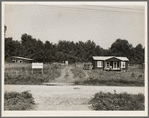 The poultry unit of the Delta cooperative farm. Hillhouse, Mississippi