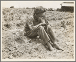 Sharecropper boy. Chesnee, South Carolina