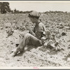 Sharecropper boy near Chesnee, South Carolina