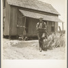 Former tenant farmer on a large cotton farm. Now a tractor driver for one dollar a day on the same farm. Bell County, Texas