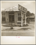 Services for Negroes in a Mississippi Delta town. Leland, Mississippi