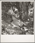 Lunchtime for cotton hoers. Mississippi Delta