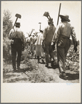 These cotton hoers work from 6 a.m. to 7 p.m. for one dollar near Clarksdale, Mississippi