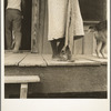 Front porch of sharecropper's cabin. Coahoma County, Mississippi