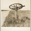 Rural mailbox. Mississippi