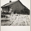 Colored tractor driver and empty cabin on mechanized cotton plantation. Aldridge Plantation near Leland, Mississippi
