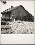 Colored tractor driver and empty cabin on mechanized cotton plantation. Aldridge Plantation near Leland, Mississippi