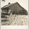 Colored tractor driver and empty cabin on mechanized cotton plantation. Aldridge Plantation near Leland, Mississippi