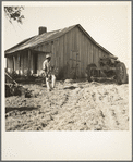 Colored tractor driver and empty cabin on mechanized cotton plantation. Aldridge Plantation near Leland, Mississippi