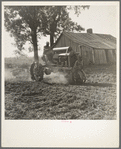 Tractor and driver on the Aldridge Plantation. [Near Leland,] Mississippi