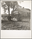 Tractor and driver on the Aldridge Plantation. [Near Leland,] Mississippi