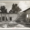 Some of the walls of the bank still stand at Fullerton, Louisiana, abandoned lumber town