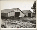 Tractor garage at the Aldridge Plantation near Leland, Mississippi