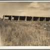 Remains of dry kiln shed. Fullerton, Louisiana. Abandoned lumber town