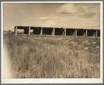 Remains of dry kiln shed. Fullerton, Louisiana. Abandoned lumber town