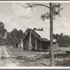 Turpentine worker's cabins. Valdosta, Georgia