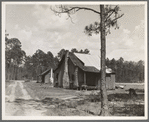 Turpentine worker's cabins. Valdosta, Georgia