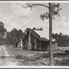 Turpentine worker's cabins. Valdosta, Georgia
