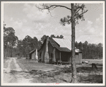 Turpentine worker's cabins. Valdosta, Georgia