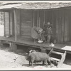 Turpentine worker's home. Georgia