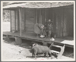 Turpentine worker's home. Georgia