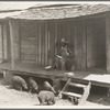 Turpentine worker's home. Georgia