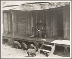 Turpentine worker's home. Georgia