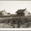 Cabins for sugarcane workers. Bayou La Fourche, Louisiana