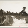 Careyville, northern Florida. A few colored families still live here, but almost all the houses stand empty. The people scattered