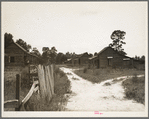 Careyville, northern Florida. A few colored families still live here, but almost all the houses stand empty. The people scattered