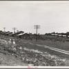 Turpentine camp. Godwinsville, Georgia
