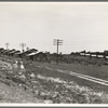 Turpentine camp. Godwinsville, Georgia